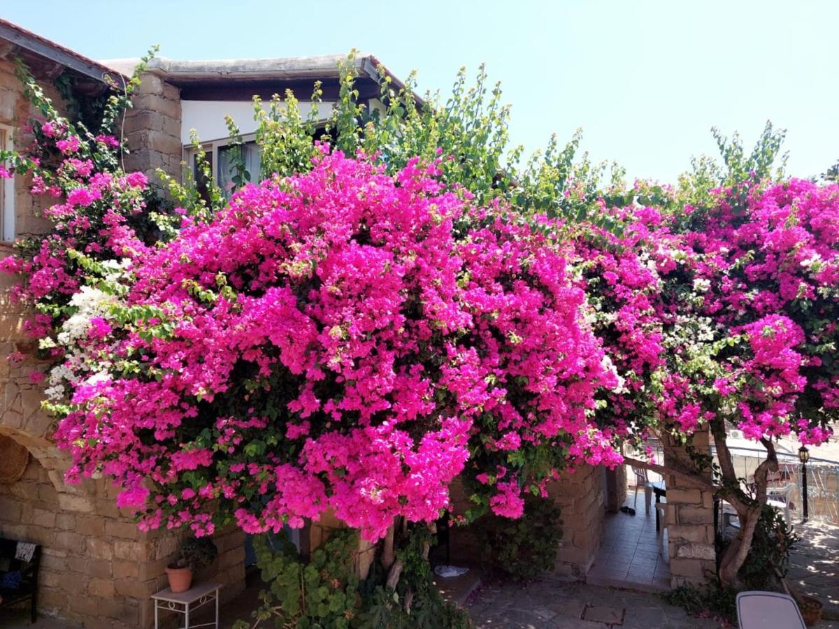 Cyprus Villages Hotel & Restaurant - Central Location - Bed & Breakfast - With Access To Pool And Stunning Views Tokhni Buitenkant foto