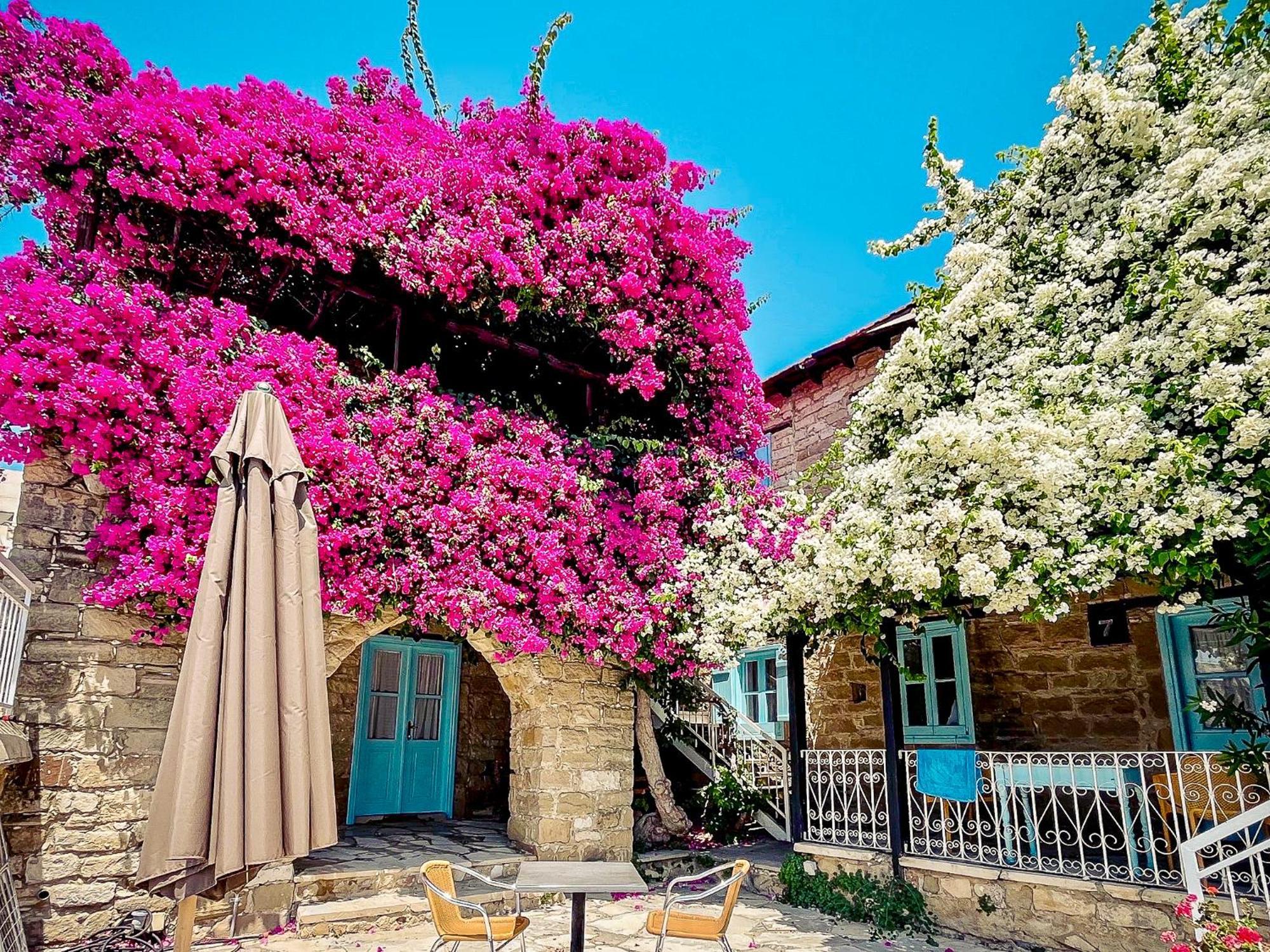 Cyprus Villages Hotel & Restaurant - Central Location - Bed & Breakfast - With Access To Pool And Stunning Views Tokhni Buitenkant foto