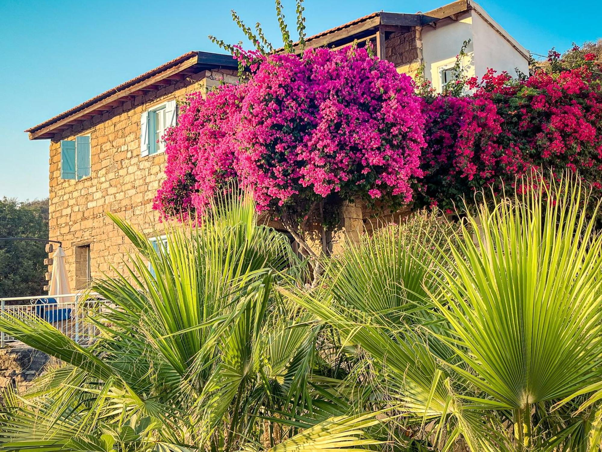 Cyprus Villages Hotel & Restaurant - Central Location - Bed & Breakfast - With Access To Pool And Stunning Views Tokhni Buitenkant foto